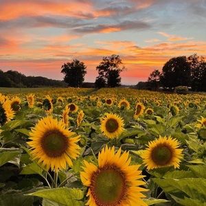 Meet your Posher, Kasey